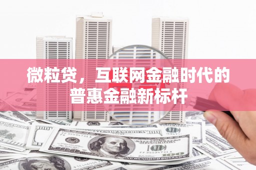 修水微粒贷，互联网金融时代的普惠金融新标杆