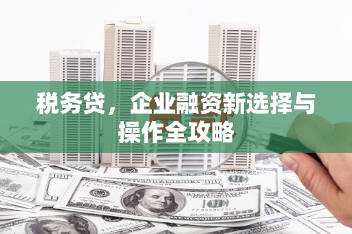 博山税务贷，企业融资新选择与操作全攻略