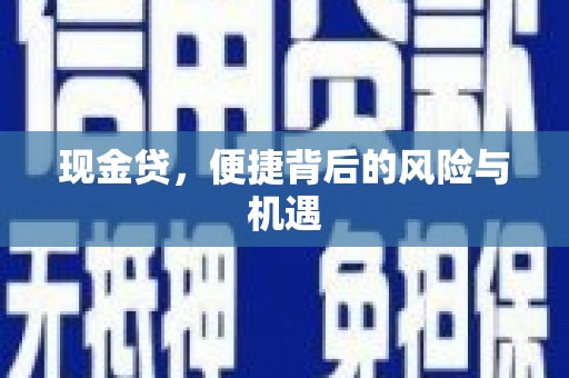 法库现金贷，便捷背后的风险与机遇