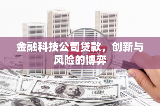 猇亭金融科技公司贷款，创新与风险的博弈