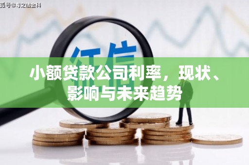 西峡小额贷款公司利率，现状、影响与未来趋势
