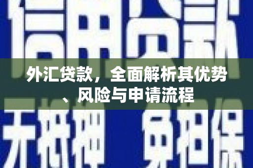 礼县外汇贷款，全面解析其优势、风险与申请流程