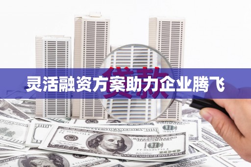 惠东灵活融资方案助力企业腾飞