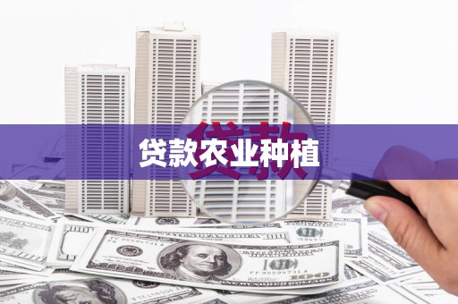兴宾贷款农业种植