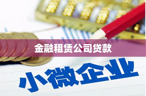 舞阳金融租赁公司贷款