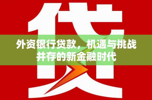 涵江外资银行贷款，机遇与挑战并存的新金融时代