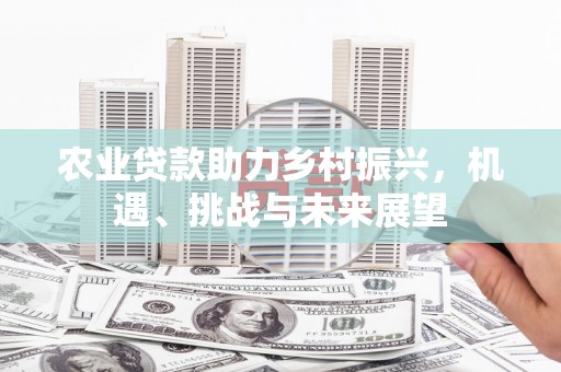 兴宾农业贷款助力乡村振兴，机遇、挑战与未来展望