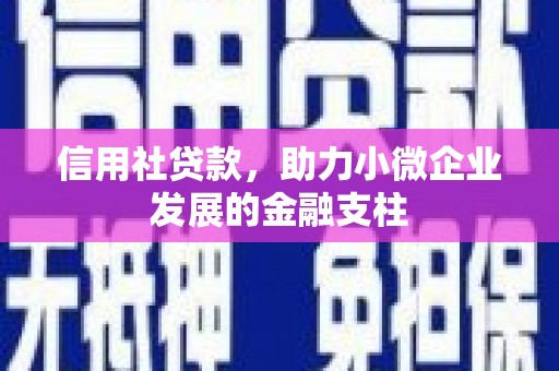 韶关信用社贷款，助力小微企业发展的金融支柱