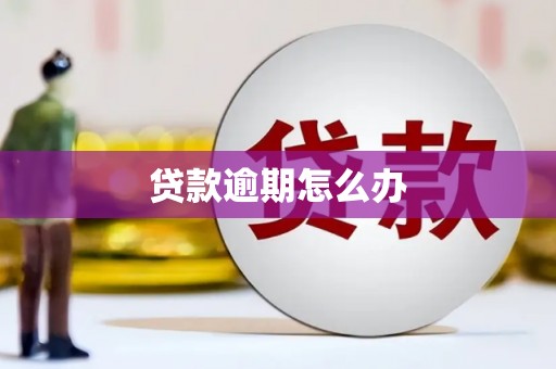 莫旗贷款逾期怎么办