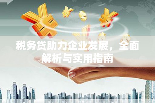 安乡税务贷助力企业发展，全面解析与实用指南