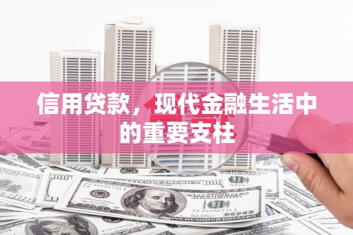 颍上信用贷款，现代金融生活中的重要支柱