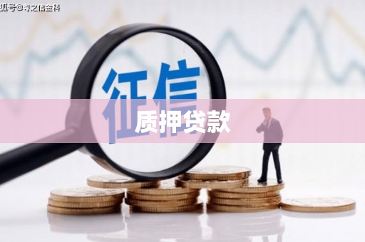 巴青质押贷款