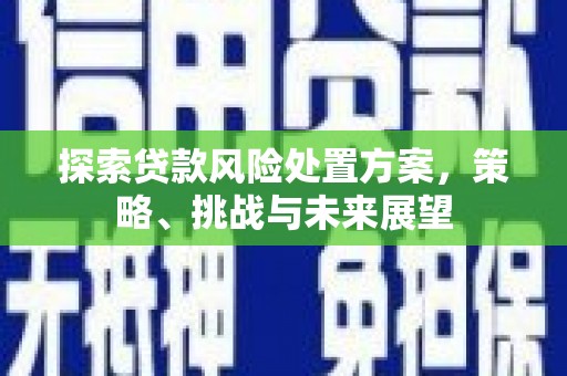 定海探索贷款风险处置方案，策略、挑战与未来展望