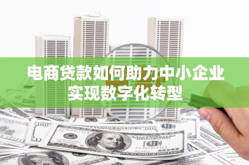 崖州电商贷款如何助力中小企业实现数字化转型