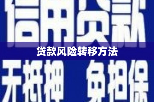 沙鹿贷款风险转移方法 沙鹿贷款风险转移方法
