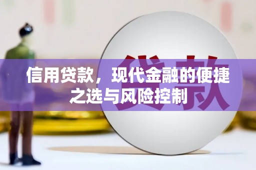 巍山信用贷款，现代金融的便捷之选与风险控制