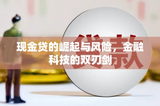 顺平现金贷的崛起与风险，金融科技的双刃剑