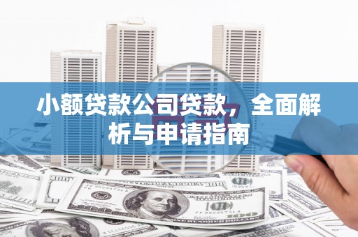 海伦小额贷款公司贷款，全面解析与申请指南
