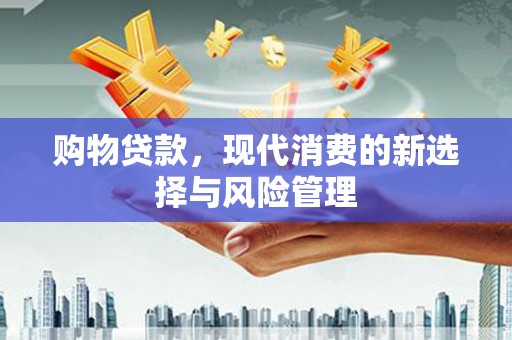蒲城购物贷款，现代消费的新选择与风险管理