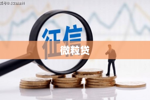 邛崃微粒贷