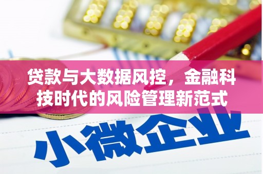 洪湖贷款与大数据风控，金融科技时代的风险管理新范式