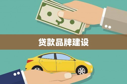 临翔贷款品牌建设