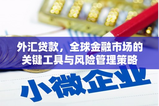 镇坪外汇贷款，全球金融市场的关键工具与风险管理策略