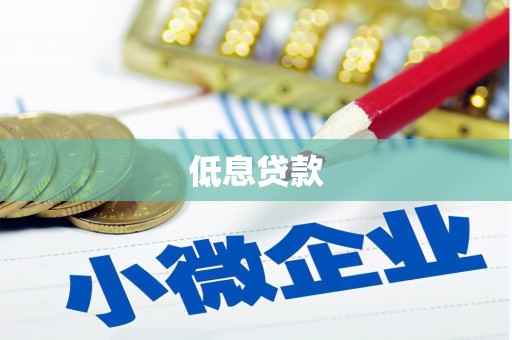 宜城低息贷款