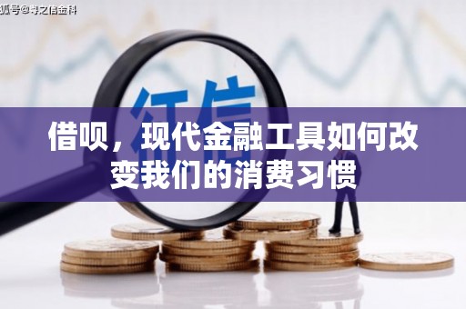 大溪借呗，现代金融工具如何改变我们的消费习惯