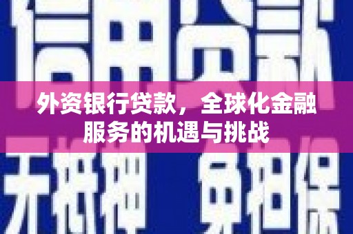 大邑外资银行贷款，全球化金融服务的机遇与挑战