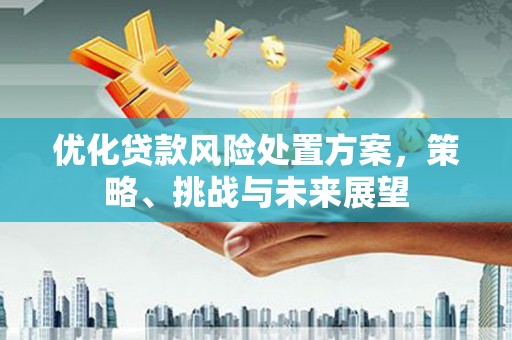 望谟优化贷款风险处置方案，策略、挑战与未来展望