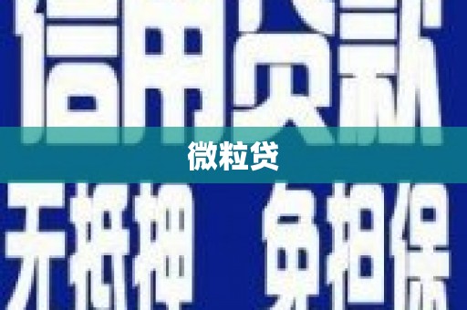 六横微粒贷