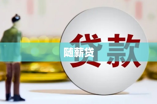 宾阳随薪贷