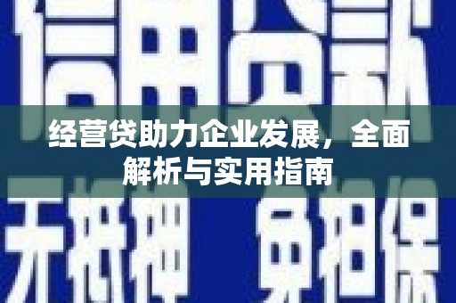 宿松经营贷助力企业发展，全面解析与实用指南