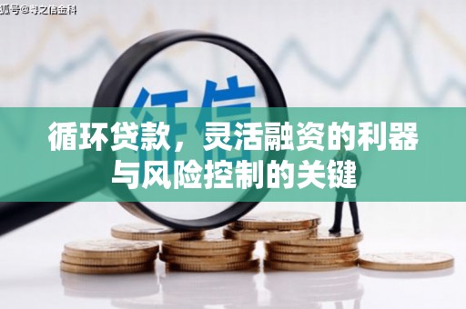 汝南循环贷款，灵活融资的利器与风险控制的关键