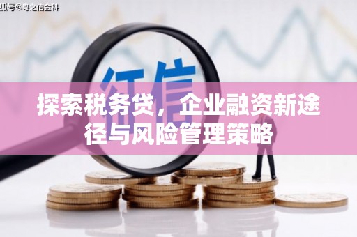 富民探索税务贷，企业融资新途径与风险管理策略