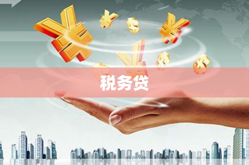 海港税务贷