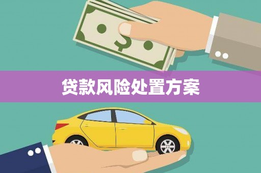 沿滩贷款风险处置方案