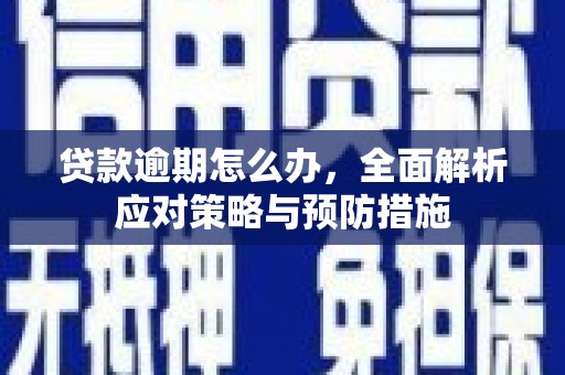 共和贷款逾期怎么办，全面解析应对策略与预防措施