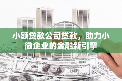 单县小额贷款公司贷款，助力小微企业的金融新引擎