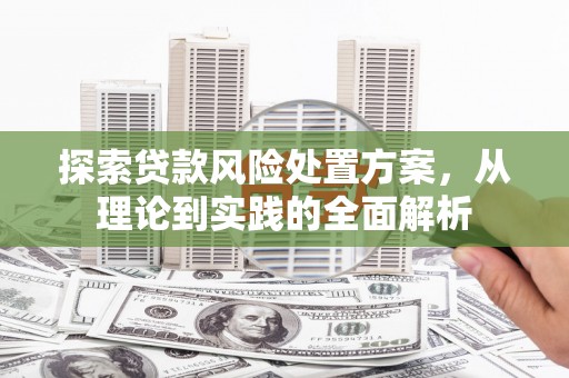 贡山探索贷款风险处置方案，从理论到实践的全面解析