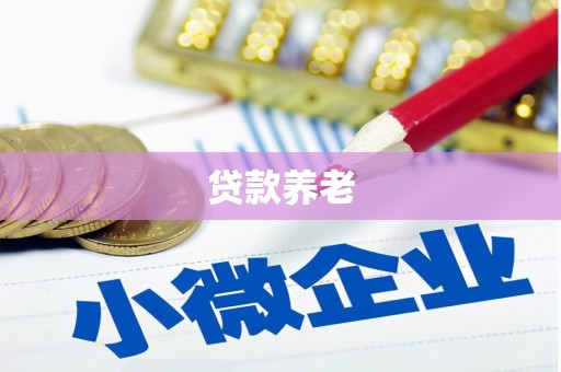 汝南贷款养老
