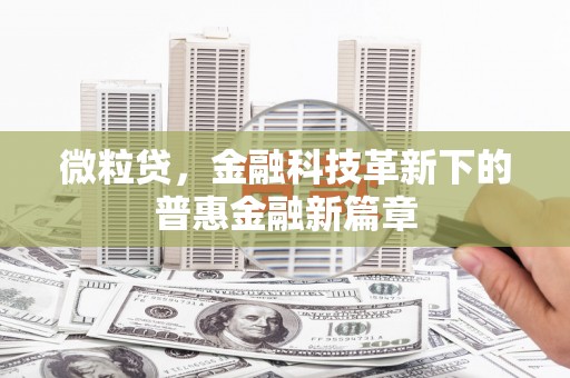 池上微粒贷，金融科技革新下的普惠金融新篇章