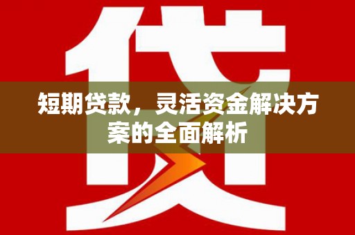 氹仔岛短期贷款，灵活资金解决方案的全面解析