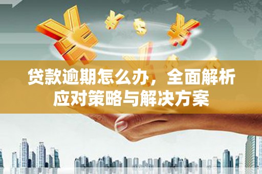 兰屿贷款逾期怎么办，全面解析应对策略与解决方案