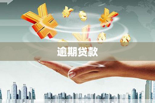 碑林逾期贷款