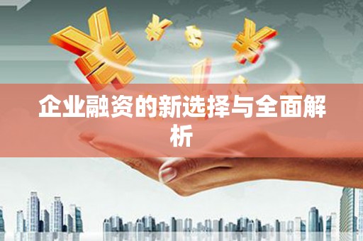 南山企业融资的新选择与全面解析