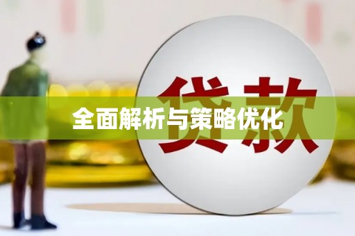 利辛全面解析与策略优化
