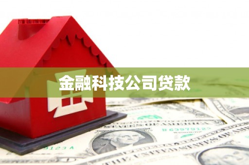 龙凤金融科技公司贷款