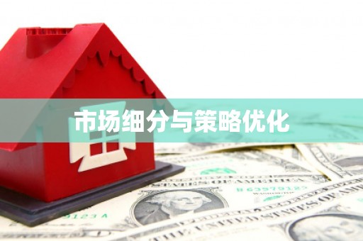 洪雅市场细分与策略优化